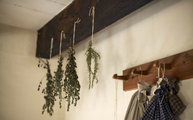 Herbs hanging from hooks