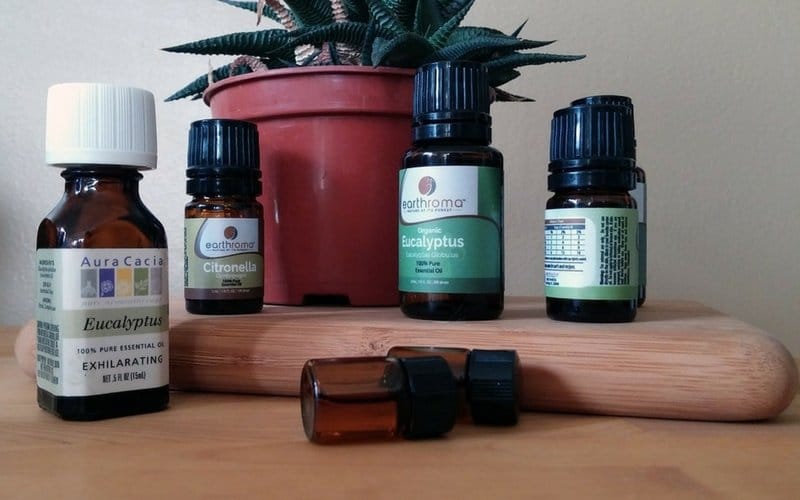 Multiple bottles of herbal cold remedies