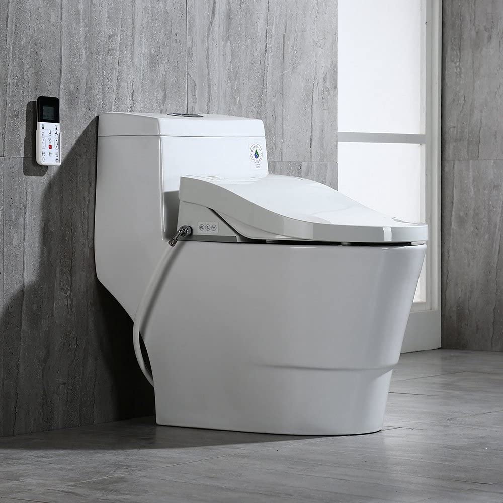 self-cleaning toilet